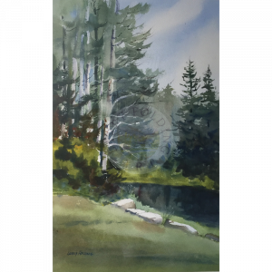 Birches in Vermont watercolor by Larry Folding