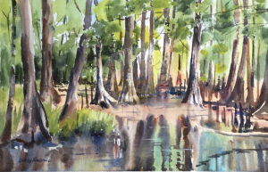 Cypress Swamp watercolor by Larry Folding